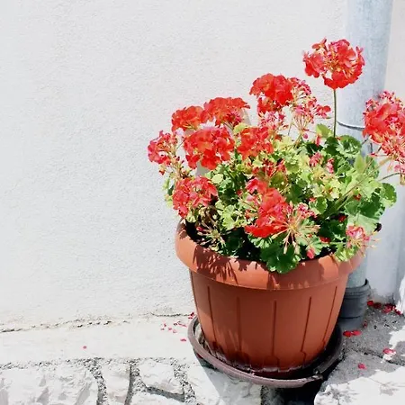 By The Sea Barbat, Rab - 4967